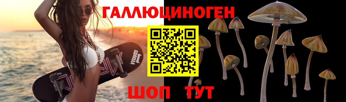 Галлюциногенные грибы Magic Shrooms  Вход с VPN  Галлюциногенные грибы MAGIC MUSHROOMS  Амурск 